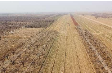 地上附著物價格評估